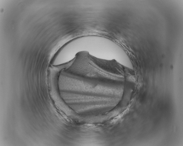 X0000089380244200707061146