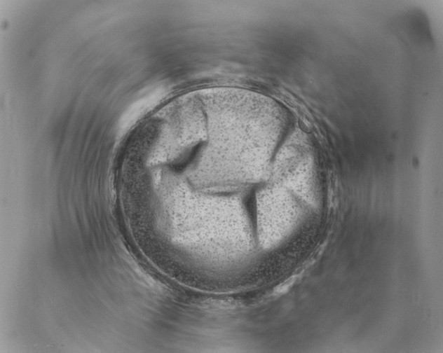 X0000089380245200707061146