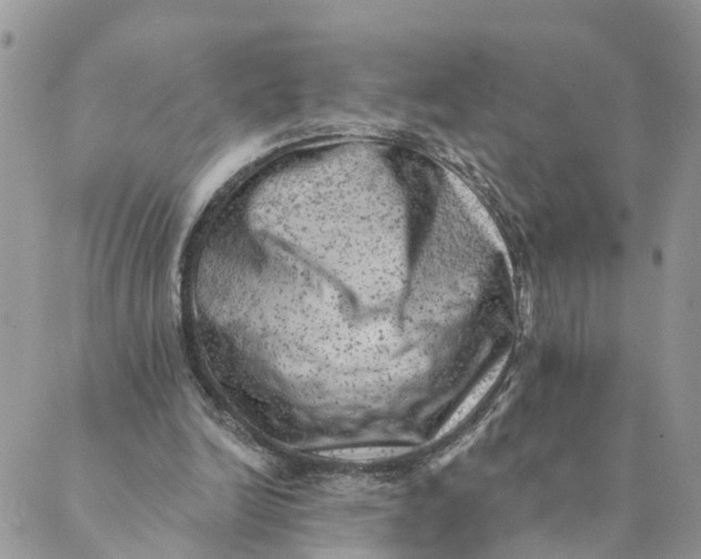 X0000089380246200707061146