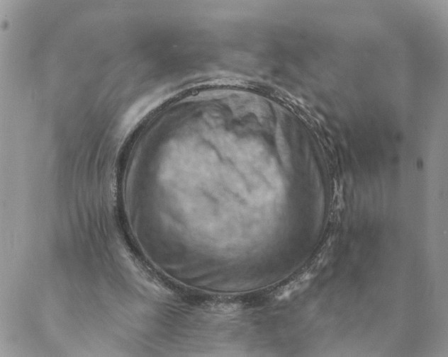 X0000089380247200707061146