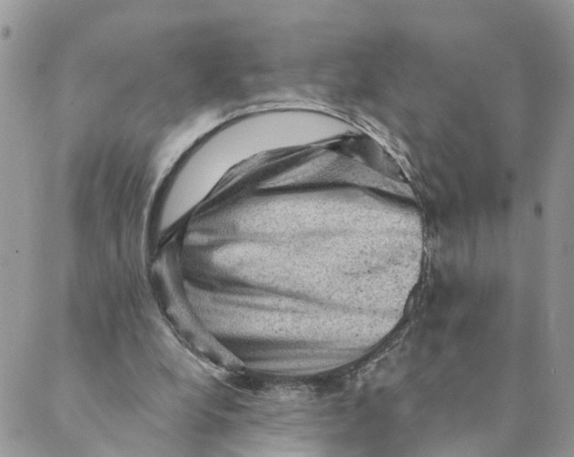 X0000089380248200707061146