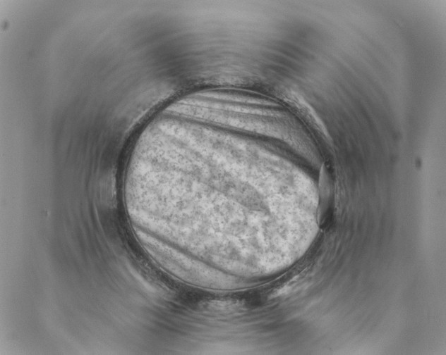 X0000089380251200707061146