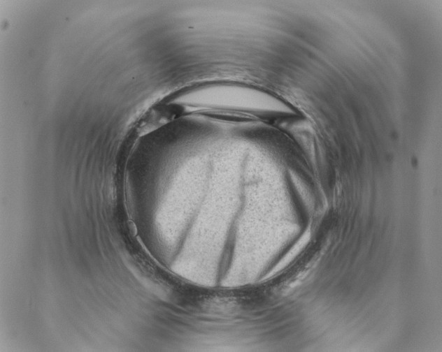 X0000089380252200707061146