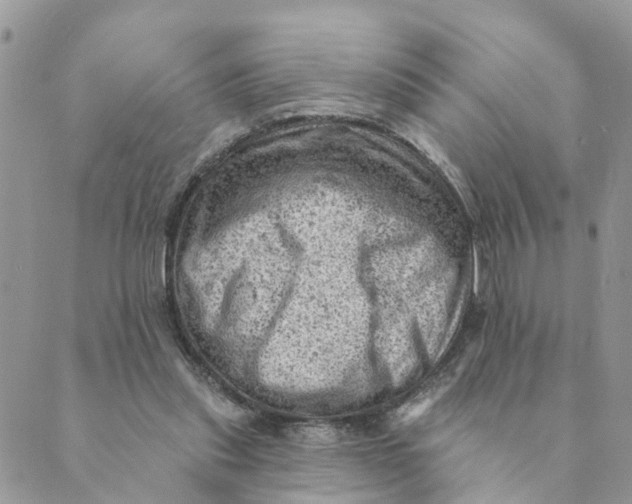 X0000089380253200707061146