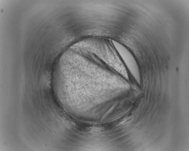 X0000089380255200707061146