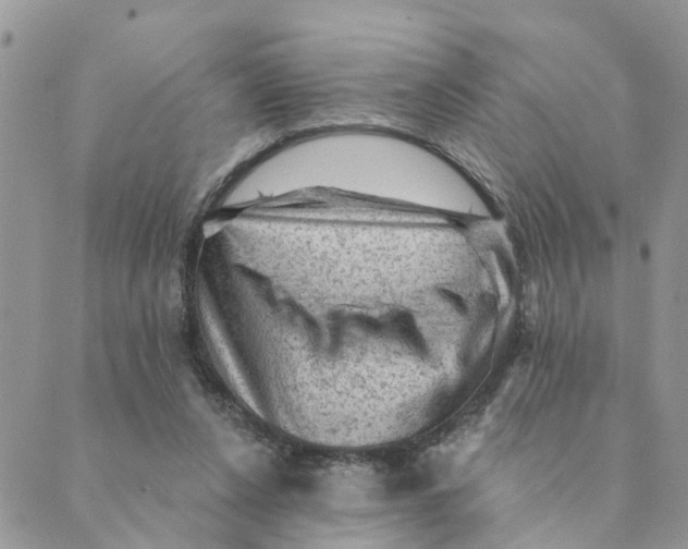 X0000089380256200707061146