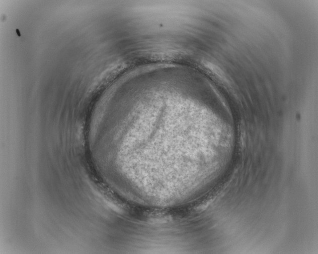 X0000089380258200707061146