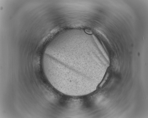 X0000089380260200707061146