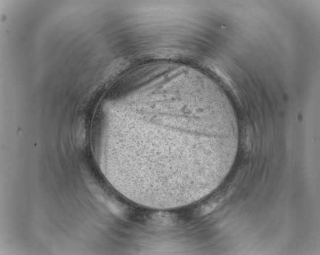 X0000089380261200707061146