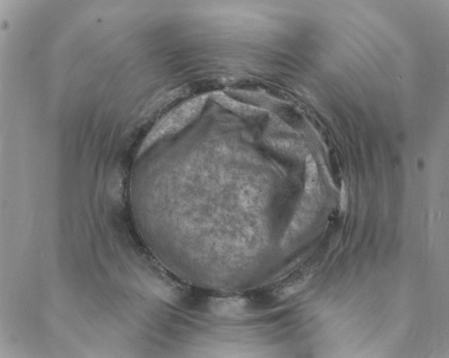 X0000089380266200707061146