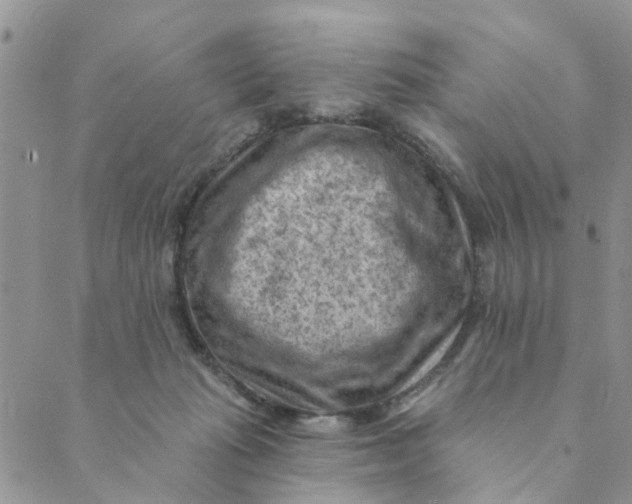 X0000089380269200707061146