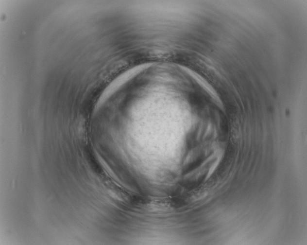 X0000089380270200707061146