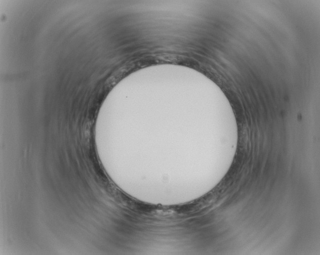 X0000089380271200707061146