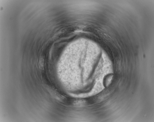 X0000089380274200707061146