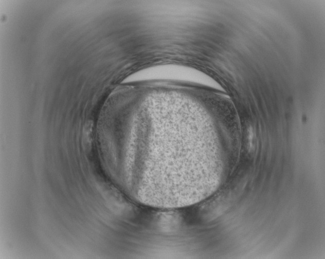 X0000089380275200707061146