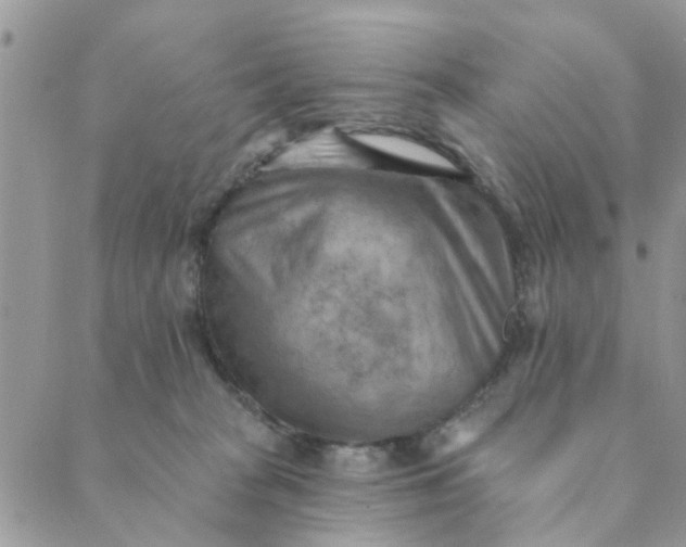 X0000089380277200707061146