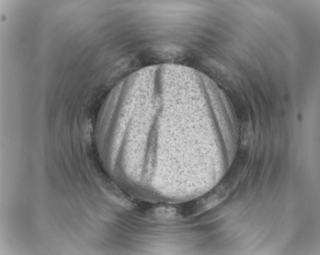 X0000089380279200707061146