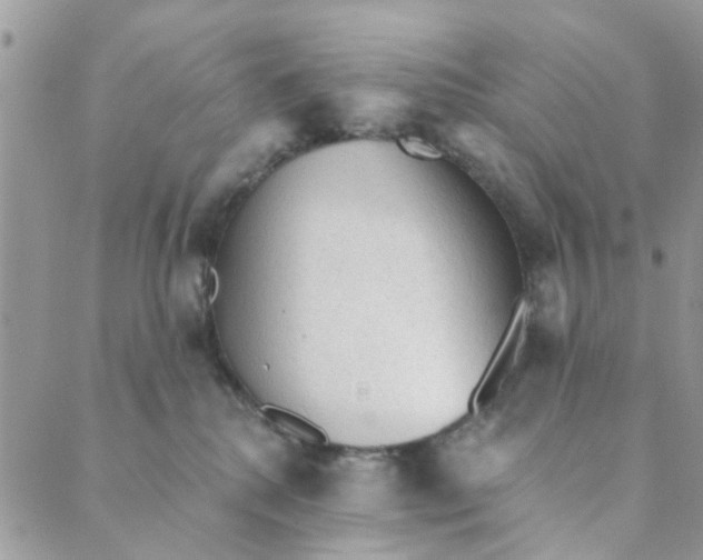 X0000089380280200707061146