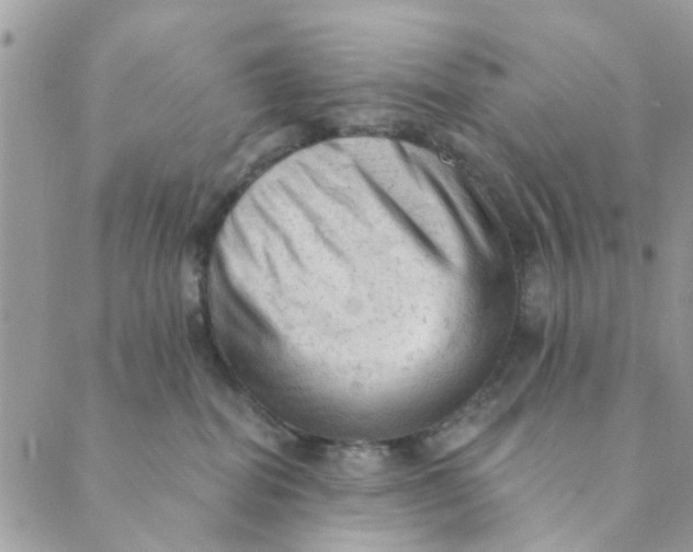 X0000089380282200707061146