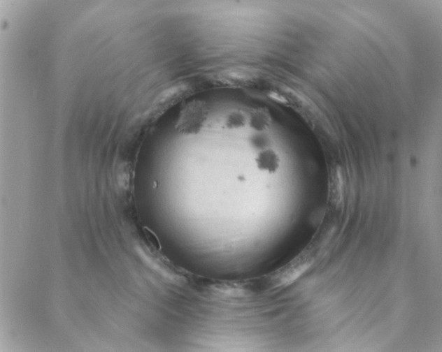 X0000089380284200707061146