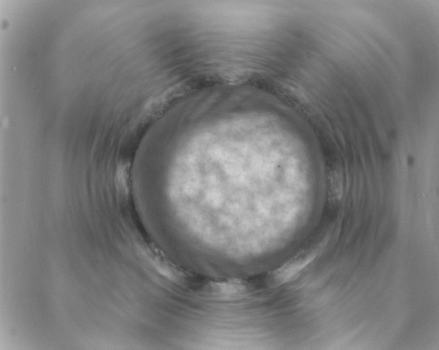 X0000089380286200707061147