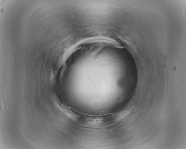 X0000089380288200707061147