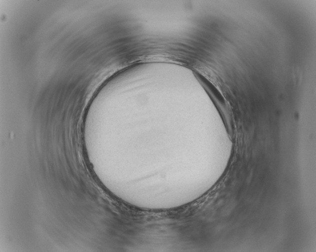 X0000089380289200707061146