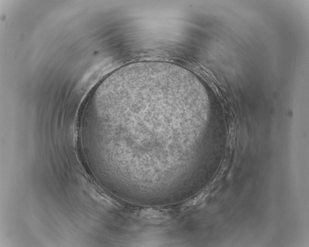 X0000089380290200707061146