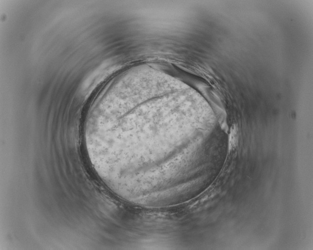 X0000089380291200707061146