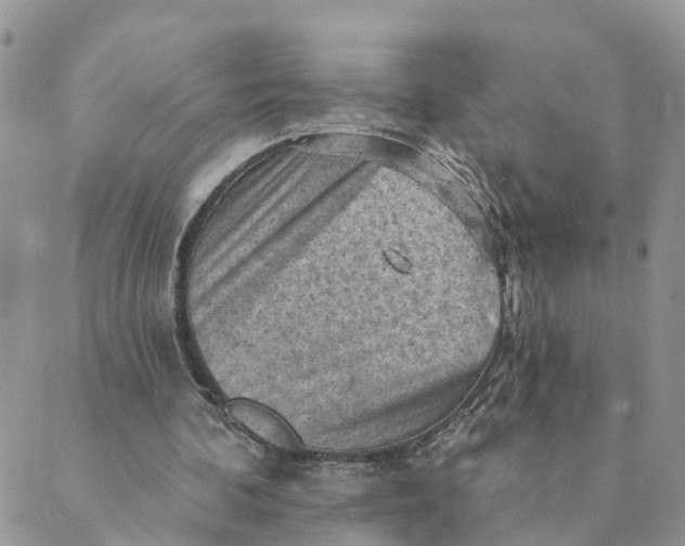 X0000089380292200707061146