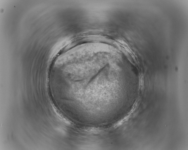 X0000089380293200707061146