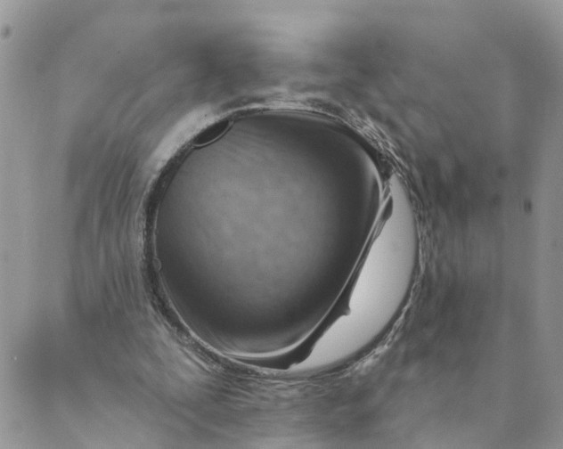 X0000089380295200707061146