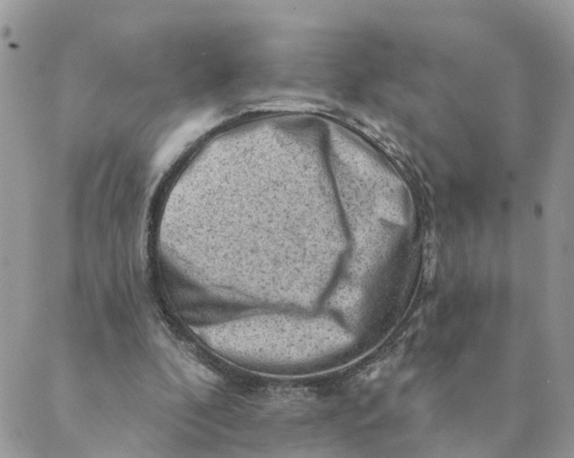 X0000089380296200707061146