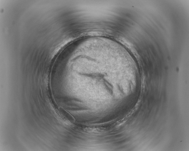 X0000089380297200707061146