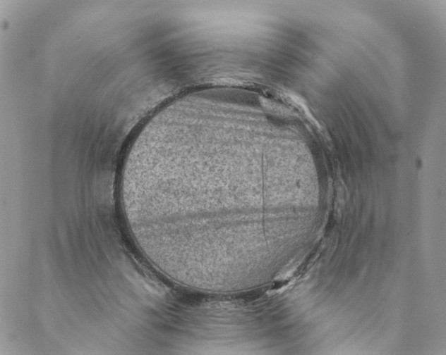 X0000089380299200707061146