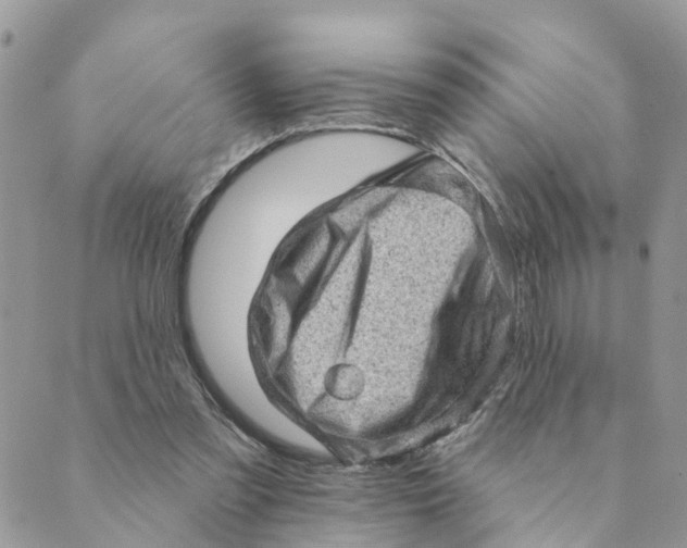 X0000089380301200707061146