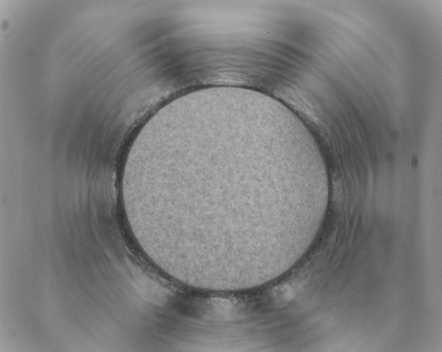 X0000089380302200707061146