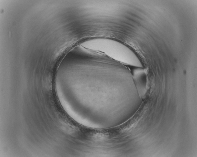 X0000089380303200707061146