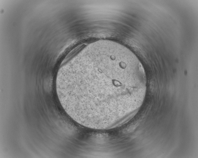 X0000089380304200707061146