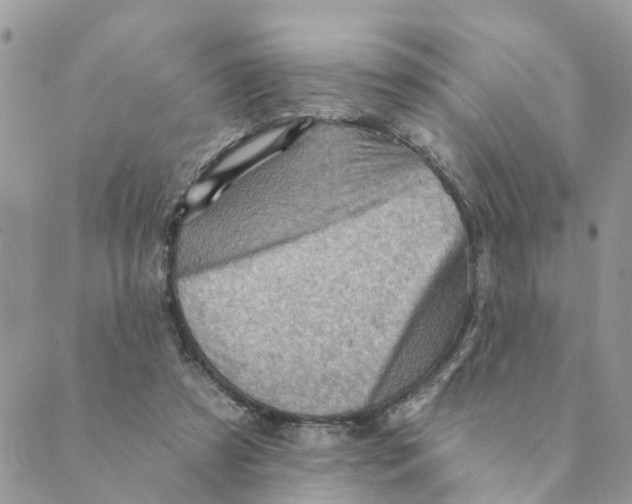 X0000089380305200707061146