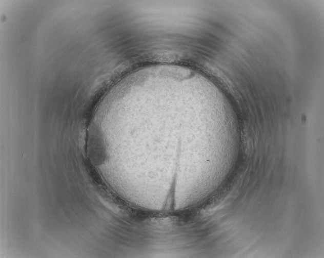 X0000089380307200707061145