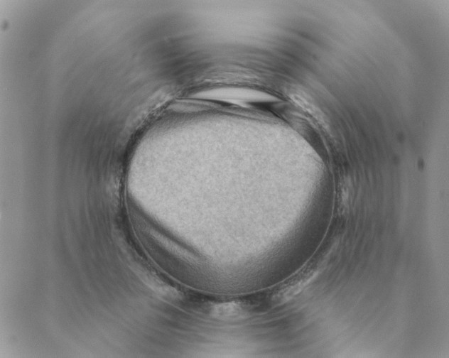 X0000089380309200707061145