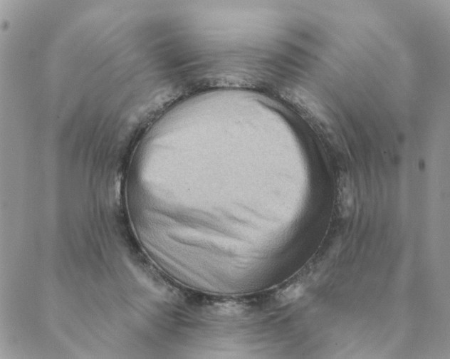 X0000089380310200707061145