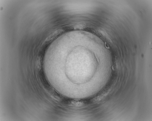 X0000089380311200707061145