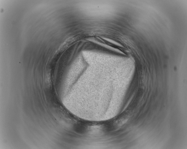 X0000089380312200707061145