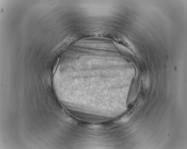 X0000089380313200707061145