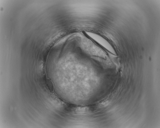 X0000089380314200707061145