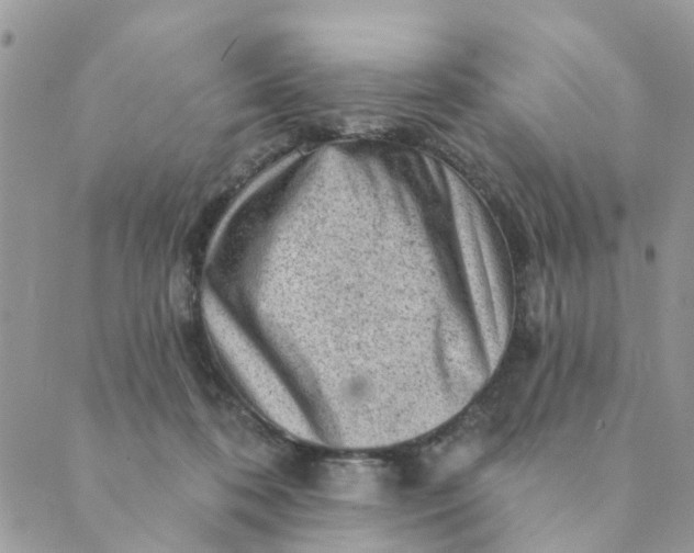 X0000089380316200707061145