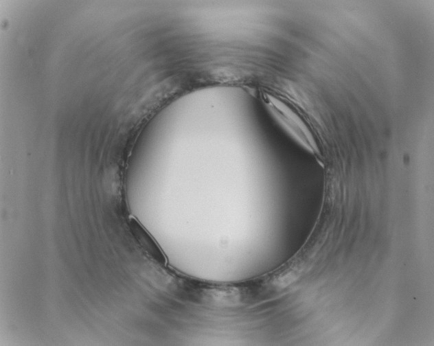 X0000089380317200707061145