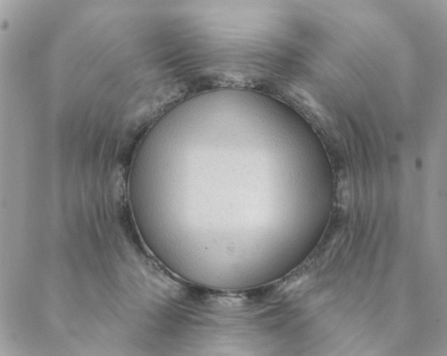 X0000089380318200707061145